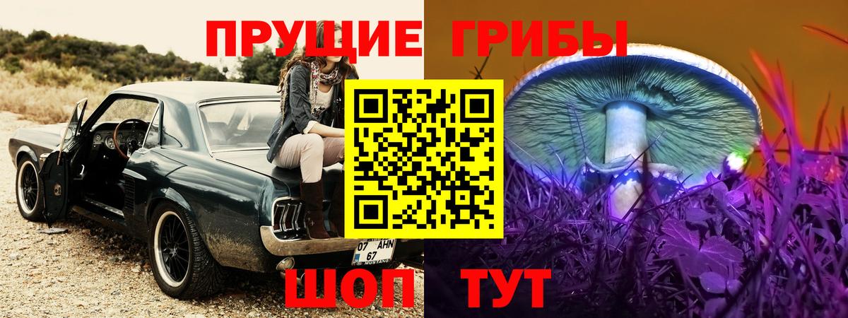 Галлюциногенные грибы MAGIC MUSHROOMS  Вход с VPN  Киселёвск 